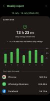Screenshot_20230717_102054_Digital Wellbeing.jpg