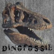 Dinofossil