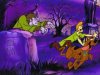 scooby.JPG