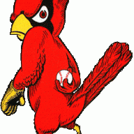InvalidArmadillo
