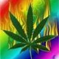 Ganja
