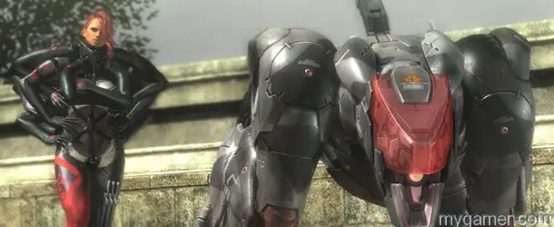 Blade Wolf Banner