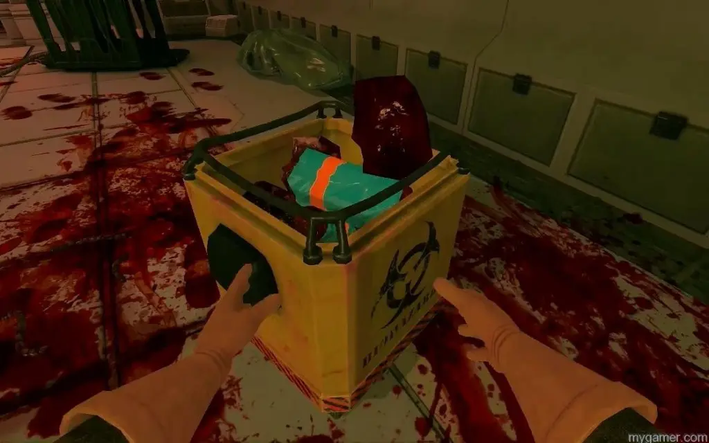 viscera