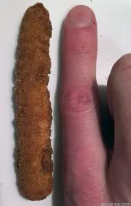 BK Chicken Fries finger