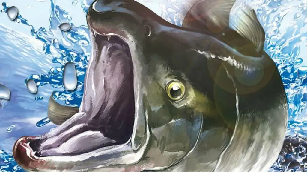 reelfishing.original