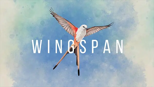 wingspan xbox preorder 600x338 1