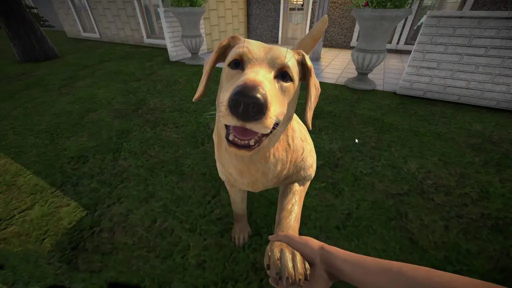 pets1 Pets Hotel (XSX) Review | MyGamer