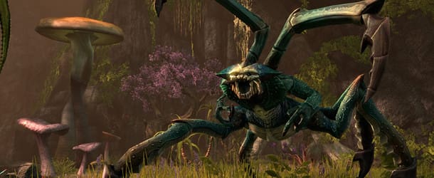 Elder Scrolls Online