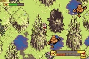Boktai puddle Boktai puddle
