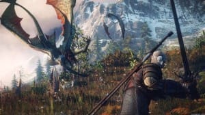 The Witcher 3: Wild Hunt Features