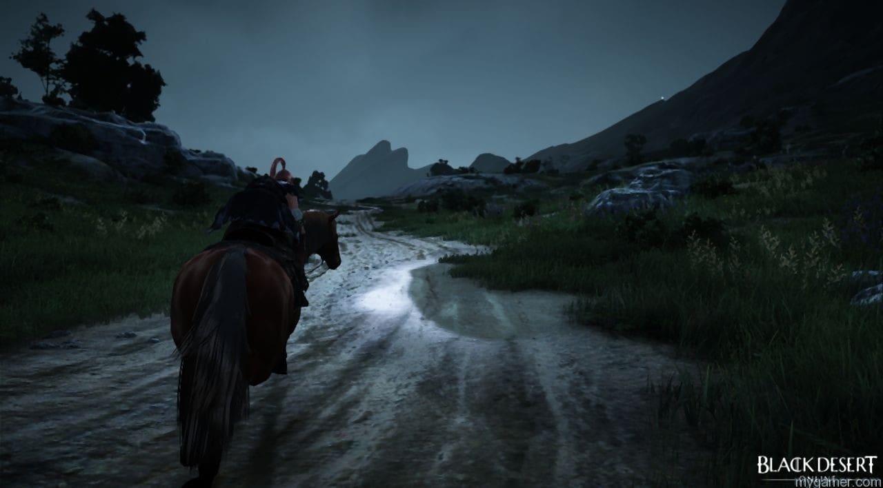 black_desert_online-8