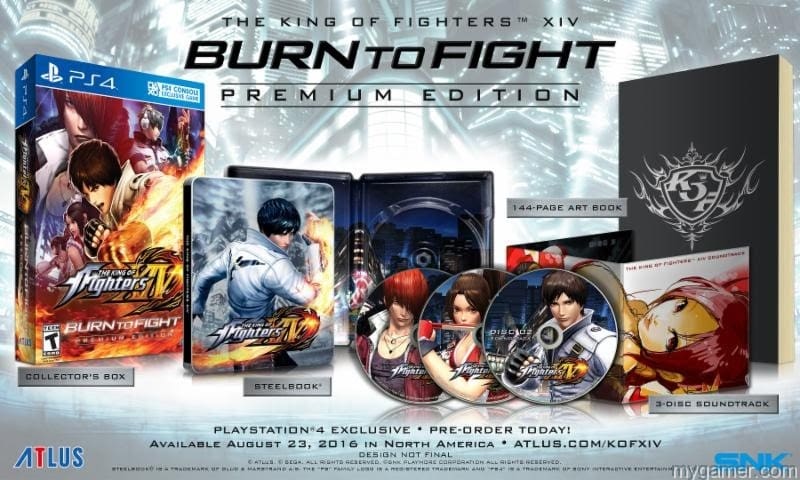 King of Fighters XIV BurnToFight