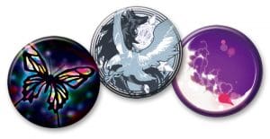 Psychedelica of the Ashen Hawk pins copy