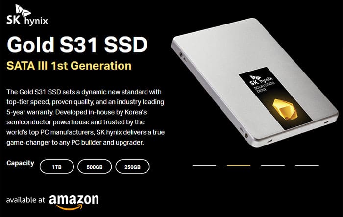 SK hynix Gold S31