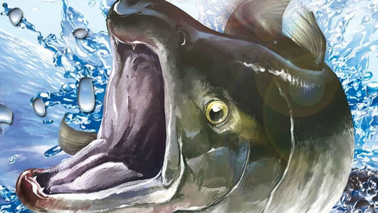 reelfishing.original