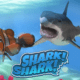 Shark Shark