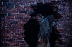 baghead1