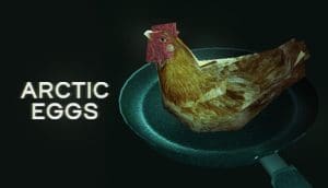 antarctic eggs