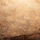 Mote the Manuscript