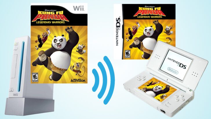 Wii-to-DS Kung Fu Panda