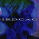 BIRDCAGE BIRDCAGE