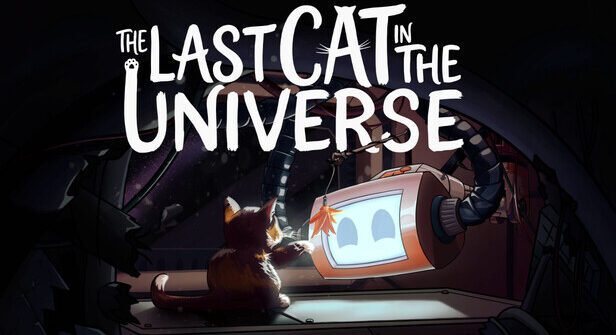 the Last Cat In the Universe
